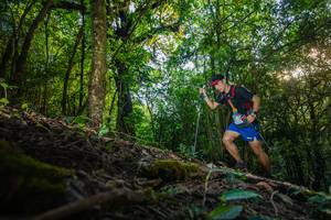 BIB: 
                            <button type="button" onclick="openModal(16015555)" class="btn btn-primary btn-sm float-right btn-popup" data-toggle="modal" data-target=".modal-high-quality">
                        <i class="fas fa-shopping-cart"></i> Add to Cart
                    </button>
                                            <button type="button" onclick="isThisMe(16015555, true)" class="btn btn-success btn-sm float-right btn-popup btn-isme hidden" data-toggle="tooltip" data-placement="bottom" title="นี่คือรูปของคุณใช่ไหม คลิกที่นี่เพื่อเอาเข้าอัลบั้ม">
                        <i class="fas fa-plus"></i> Add to album
                    </button>
                    <button type="button" onclick="isThisMe(16015555, false)" class="btn btn-warning btn-sm float-right btn-popup btn-isnotme hidden">
                        <i class="fas fa-ban"></i> Remove from album
                    </button>